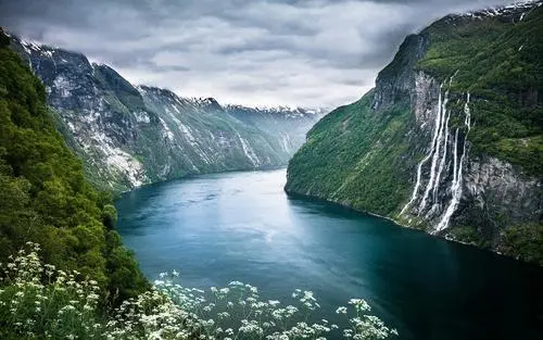 独特高质量科技